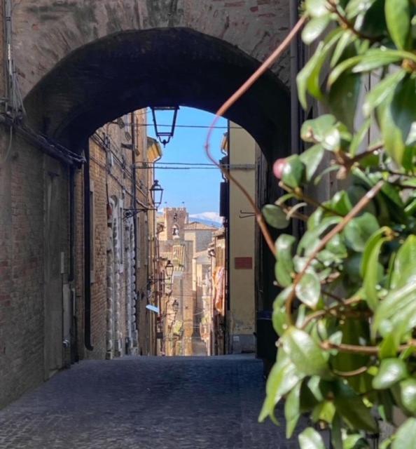 La Casa Del Gelsomino Apartment Acquaviva Picena Bagian luar foto